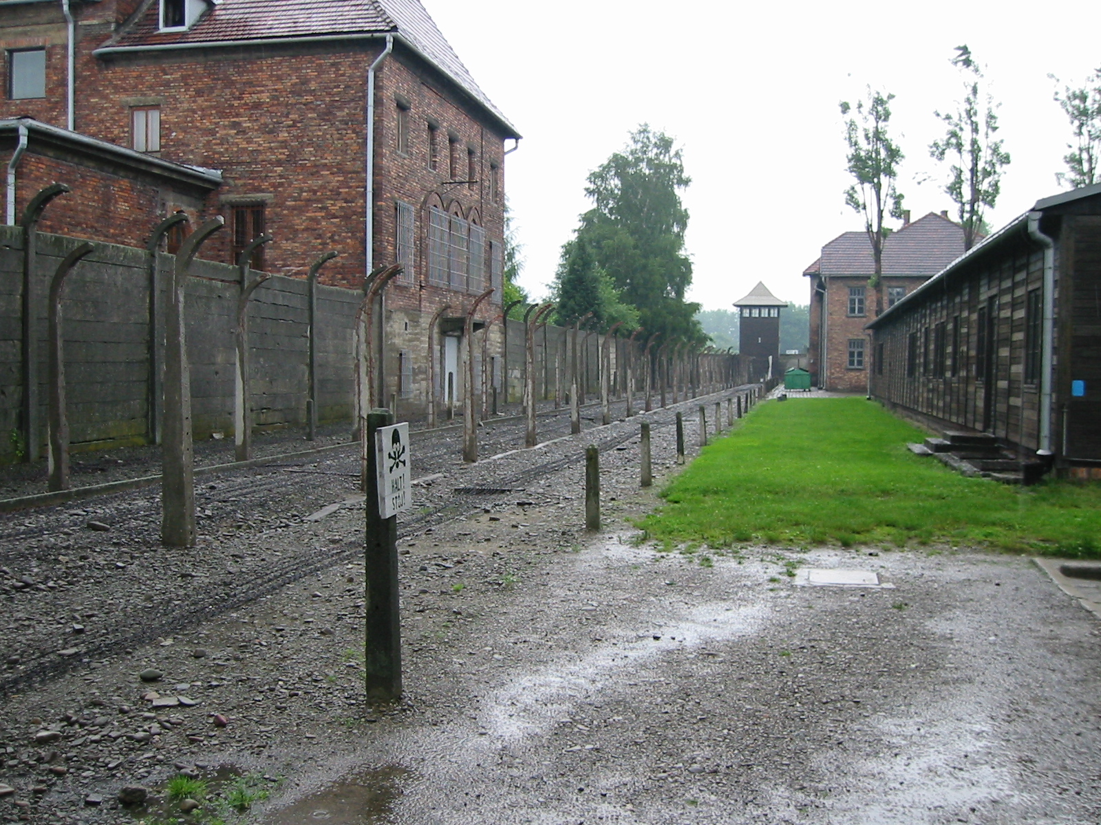 ausw5.JPG