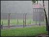 ausw3.JPG