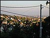 buda.JPG