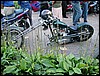 IMG_0274.JPG